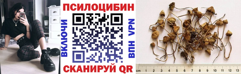mega как зайти Печора Галлюциногенные грибы мицелий
